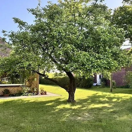 Ferienhaus, Semesterbostad Friederikensiel